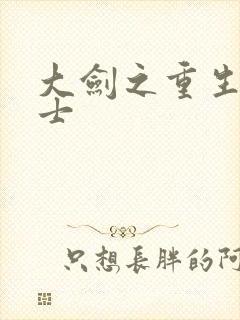 大剑之重生圣骑士