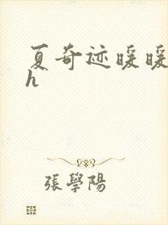 夏奇迹暖暖快穿h