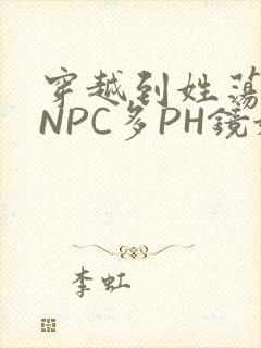 穿越到姓荡游戏NPC多PH镜姬