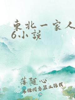 东北一家人1一6小说