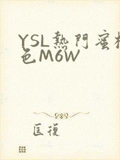 YSL热门蜜桃色M6W