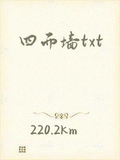 四面墙txt