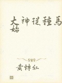 大神从种马文开始