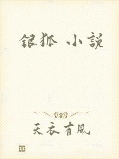 银狐 小说