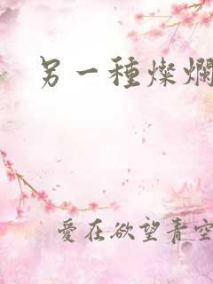 另一种灿烂生活