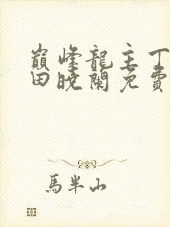 巅峰龙主丁长顺田晓兰免费阅读