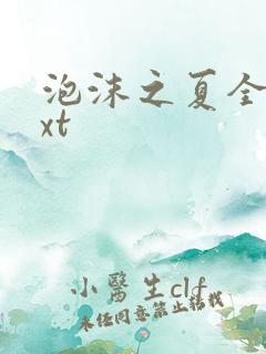 泡沫之夏全集txt