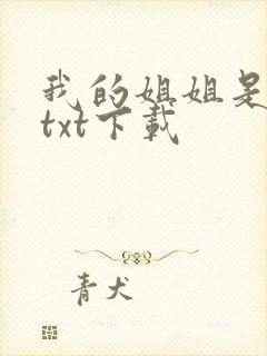 我的姐姐是美女txt下载