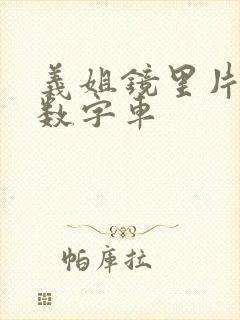 义姐镜里片微博数字车