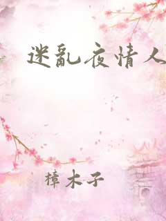 迷乱夜情人