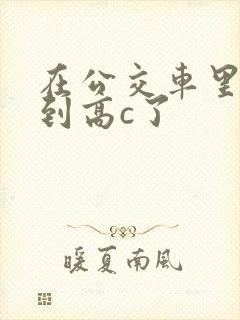 在公交车里c弄到高c了