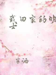 武田家的明国武士