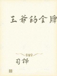 王爷的金牌暗卫