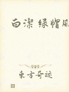 白洁 绿帽风云