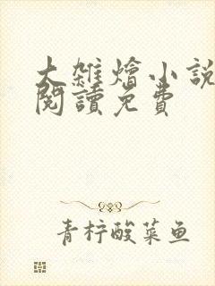 大杂烩小说全集阅读免费