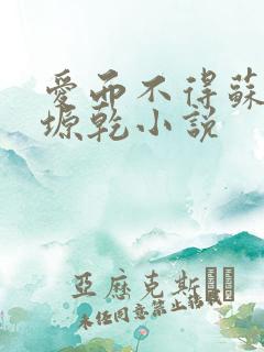 爱而不得苏路顾塬乾小说