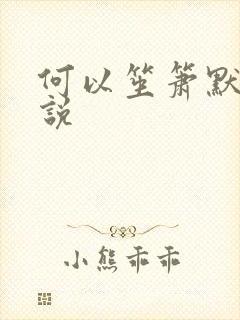 何以笙箫默 小说