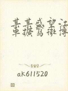 某某盛望江添肉车扩写微博