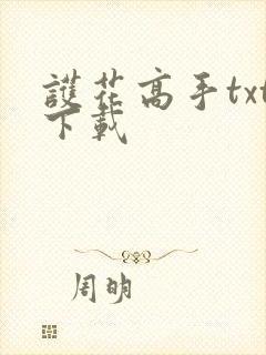 护花高手txt下载