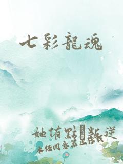 七彩龙魂