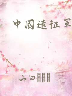 中国远征军下载