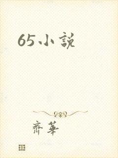 65小说