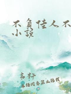 不负佳人不负卿小说