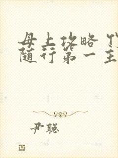 母上攻略 竹影随行第一主板