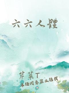 六六人体
