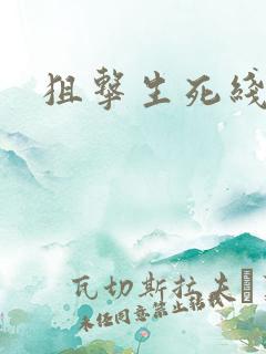 狙击生死线下载