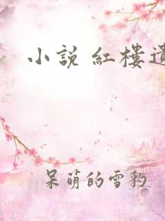 小说 红楼遗秘