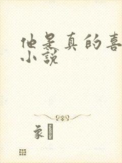 他是真的喜欢你小说