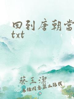 回到唐朝当皇帝txt