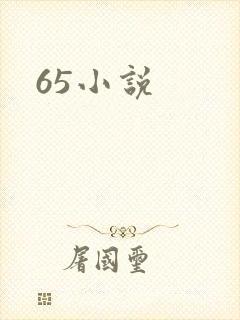 65小说