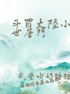 斗罗大陆小说绝世唐门