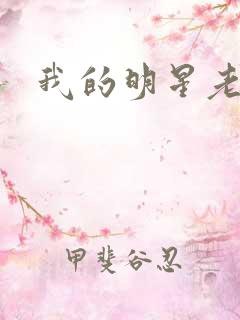 我的明星老豆
