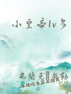 小皇帝1v多