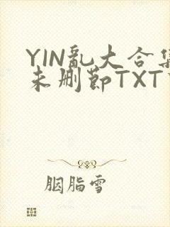 YIN乱大合集未删节TXT下载