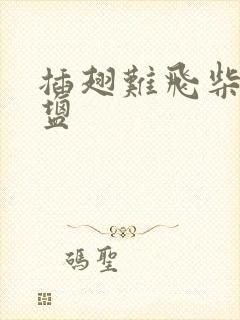 插翅难飞柴米油盐