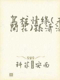 驾校情缘(老树开花)孙潇潇第一次趣笔阁