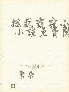 总裁霸宠小娇妻 小说免费阅读