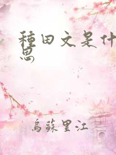 种田文是什么意思