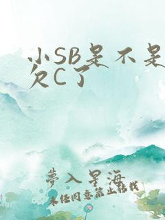 小SB是不是又欠C了