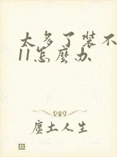 太多了装不下h11怎么办