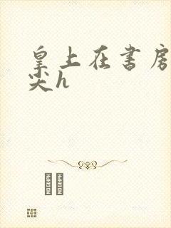 皇上在书房含乳尖h