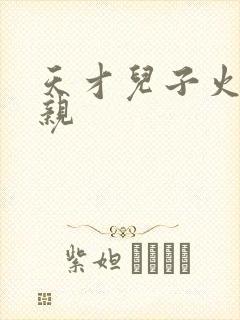 天才儿子火爆娘亲