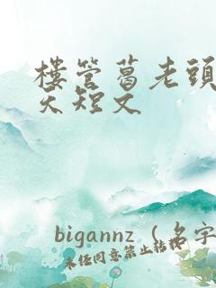 楼管葛老头的春天短文