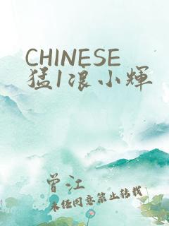 CHINESE猛1浪小辉