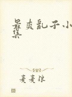 最爽乱子小说合集