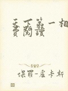 天下第一相书免费阅读